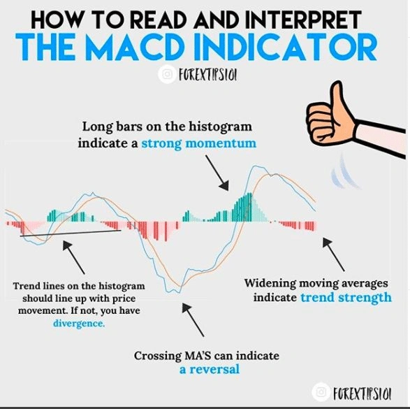 如何读取 MACD 平均交叉
